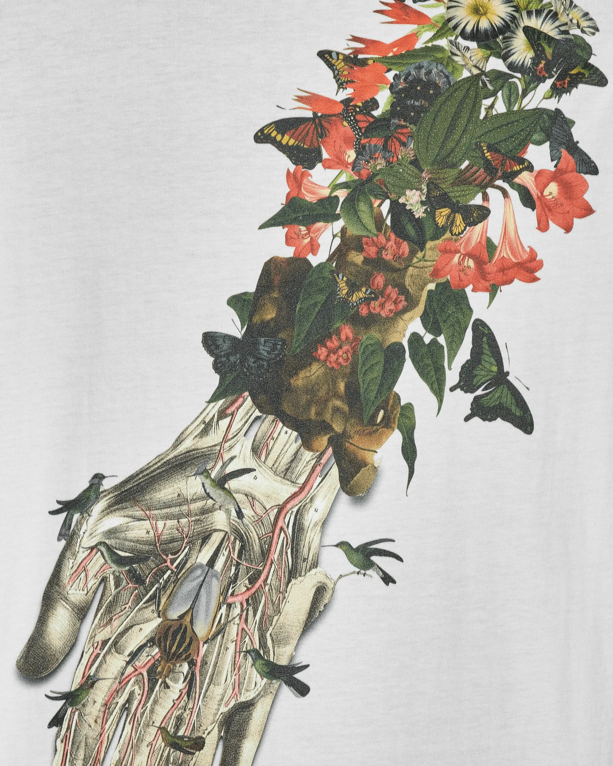 Bedelgeuse Graphic T-Shirt White