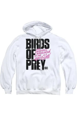 Birds Of Prey Birds Of Prey Logo Adult Pull Over Hoodie / Hooded Sweatshirt