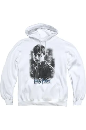Harry Potter Harry In The Woods Adult Pull Over Hoodie / Hooded Sweatshirt