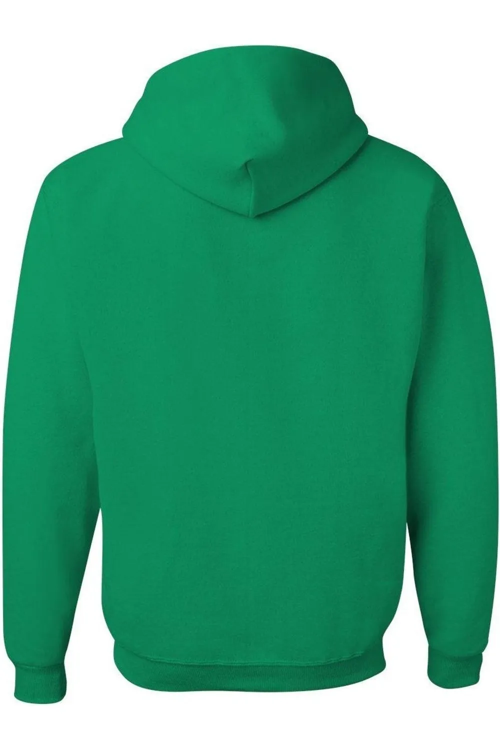 Looney Tunes Tweety Shamrock Adult Pull Over Hoodie / Hooded Sweatshirt