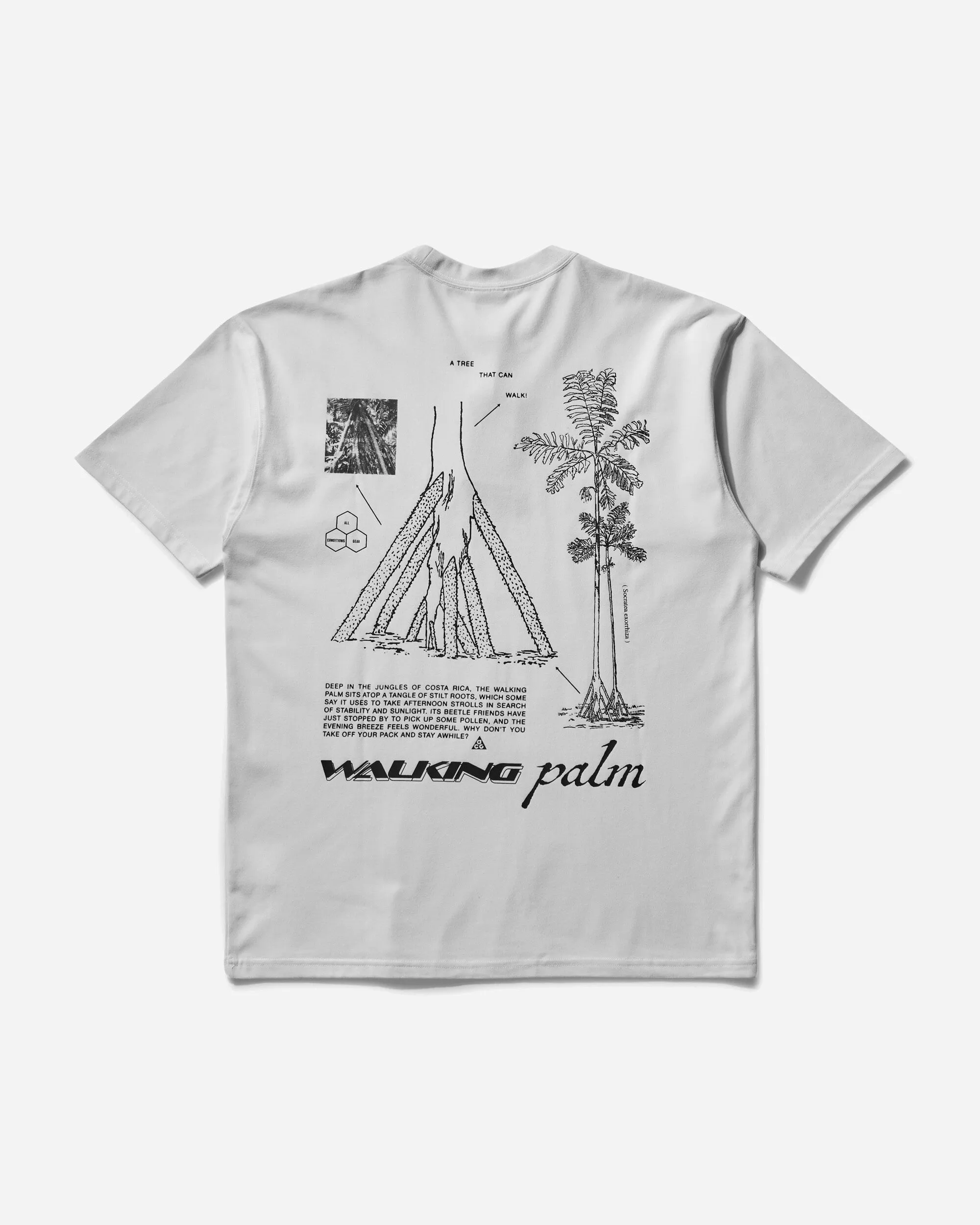 Men's ACG "Walking Tree" Dri-FIT T-Shirt Summit White
