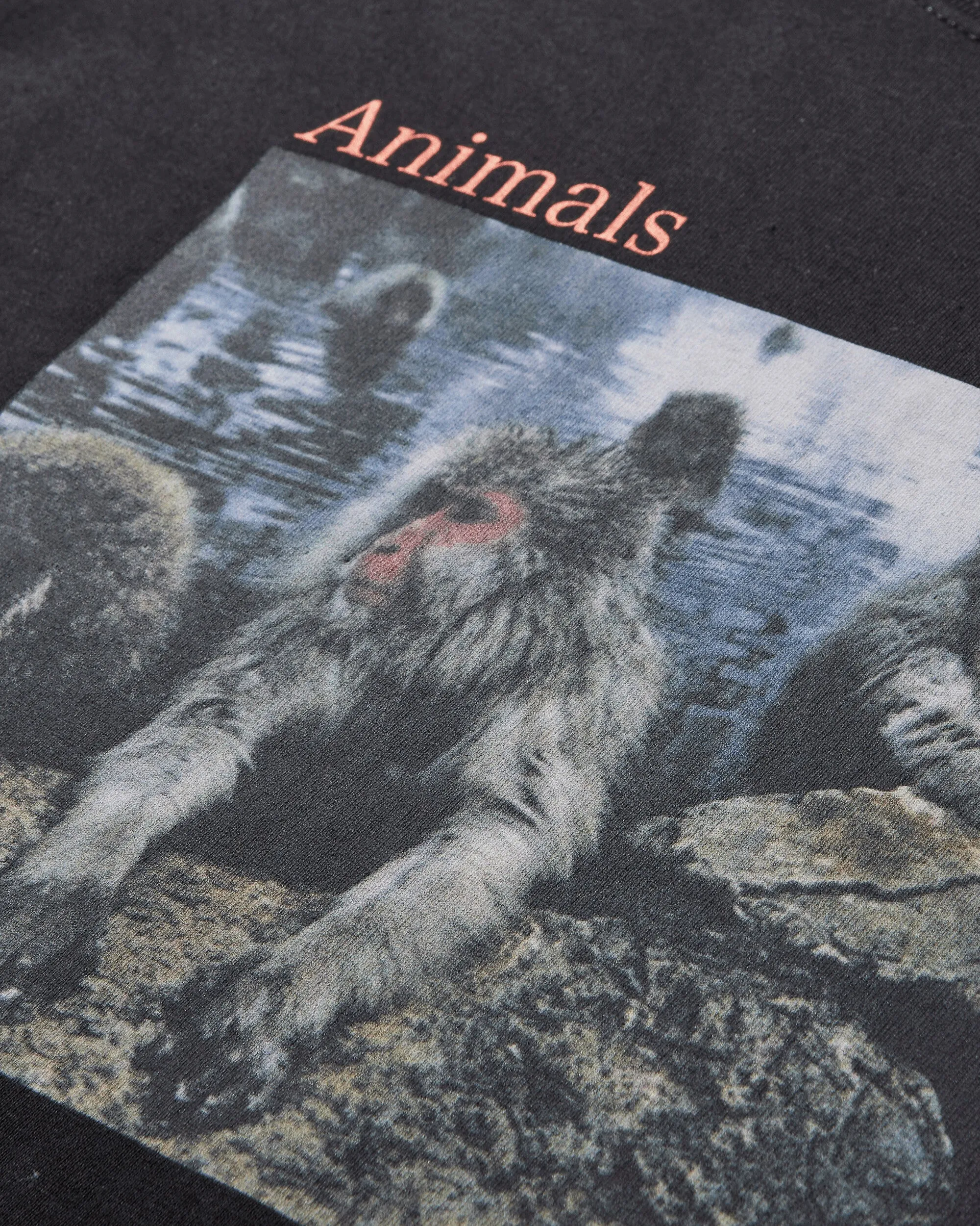 Men's Animals Are People T-Shirt Black