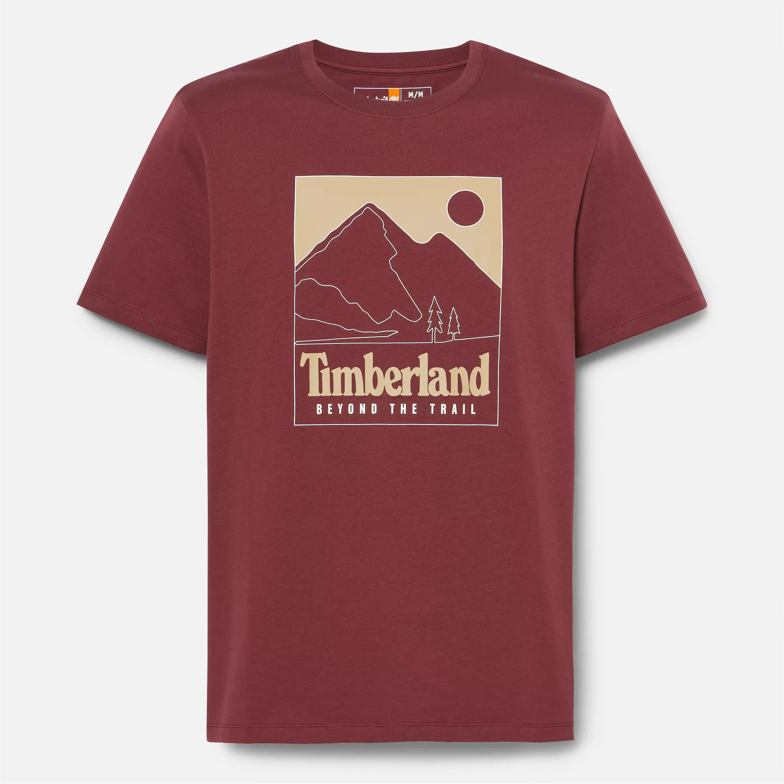 Men's Mountain Graphic Short Sleeve T-Shirt
