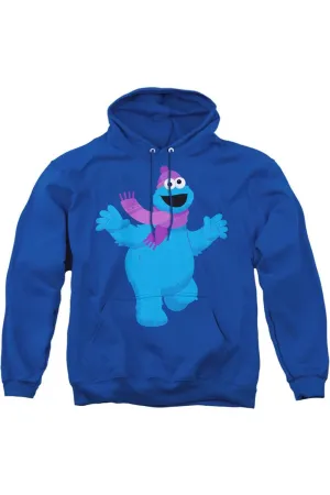 Sesame Street Furry Friends Forever! Cookie Monster Adult Pull Over Hoodie